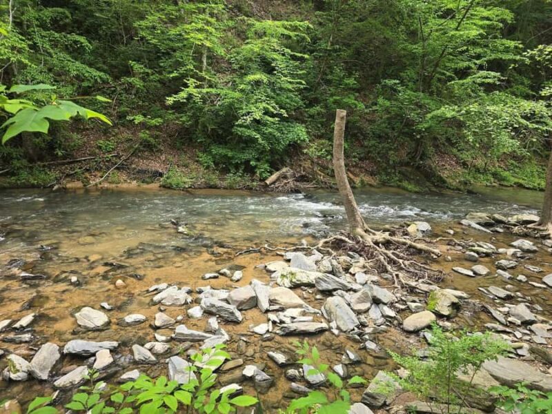 Pigeon Forge: Highlights of the Smokies Tour - Comparisons and Similar Experiences