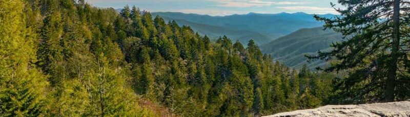 Pigeon Forge: Newfound Gap and Smoky Mountains Jeep Tour - Key Points