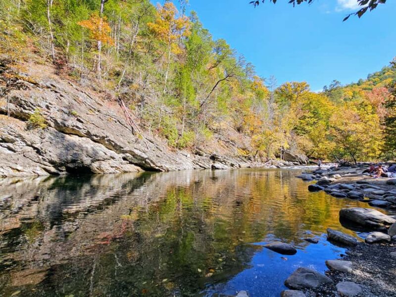 Pigeon Forge: Smoky Bear Discovery Tour - Frequently Asked Questions