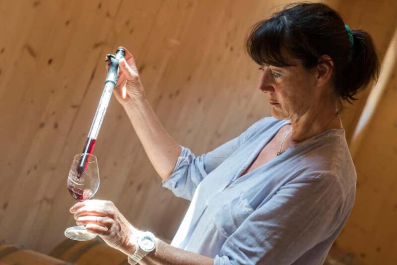 Pila-Canale: Visit the winery and taste wines from Domaine de Pratavone - Practical Details and Accessibility