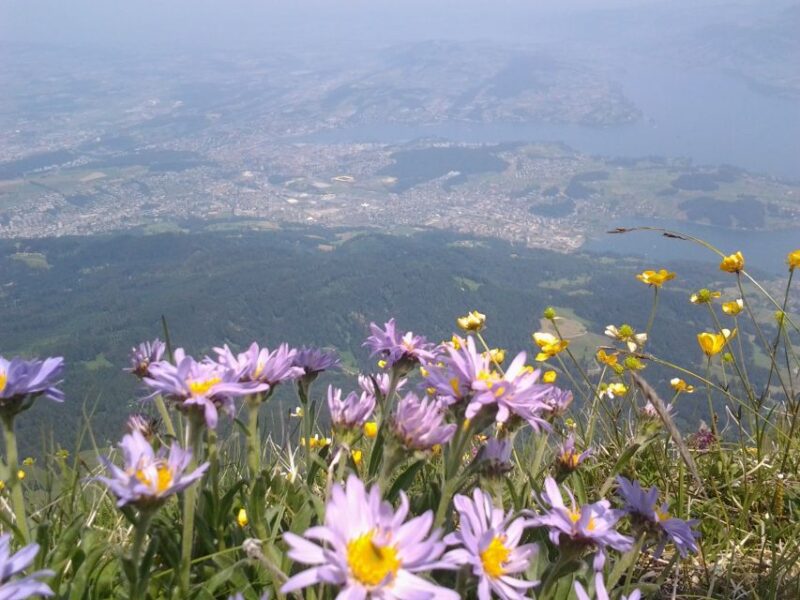 Pilatus: Exclusive Private Golden Round Trip from Zürich - Seasonal Operations and Alternative Routes