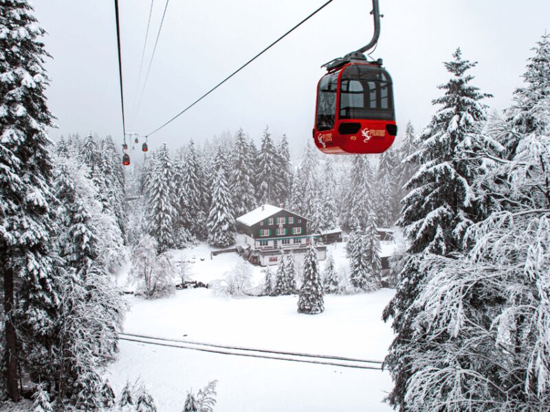 Pilatus & Lucerne with Cruise Private Day Trip - Precise Departure and Transportation Details