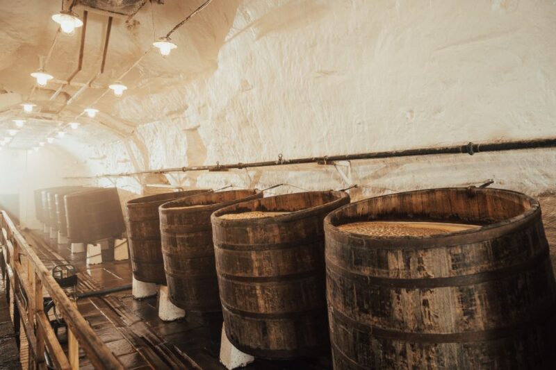 Pilsen: Pilsner Urquell Brewery Tour with Beer Tasting - Exploring the Brewery’s Historic Cellars and Brewing Halls