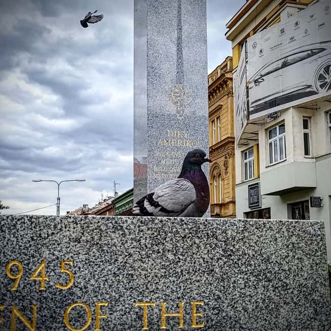 Pilsen: Private Day Trip with Brewery & Beer Museum - Return Journey and Drop-off in Prague