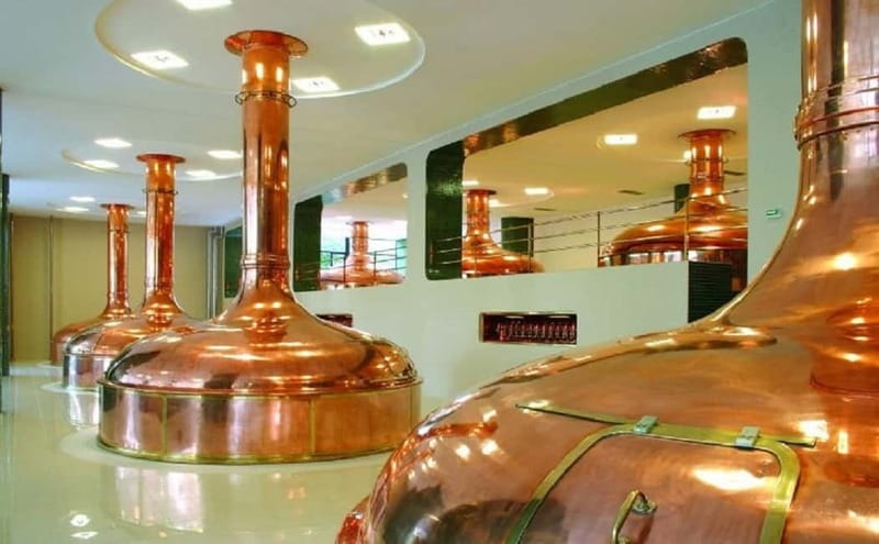 Pilsner Brewery & Nizbor Glass Factory Combination Tour - Review Insights and What Makes This Tour Stand Out