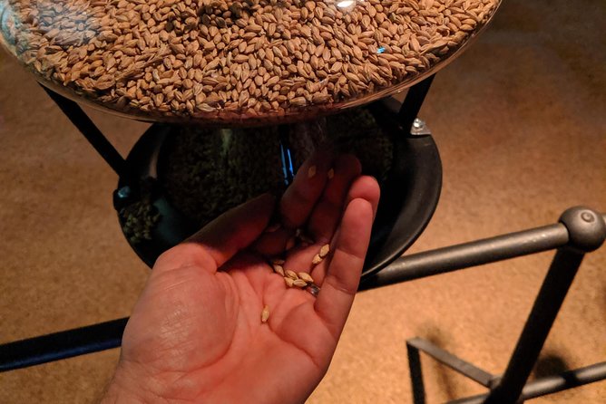 Pilsner Urquel brewery with tasting + sightseeing (from Prague) - Who Will Appreciate This Tour Most