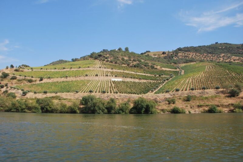 Pinhão: 2-Hour Rabelo Boat Tour with Audio Guide - Touring the Scenic Douro River Between Pinhão and Tua