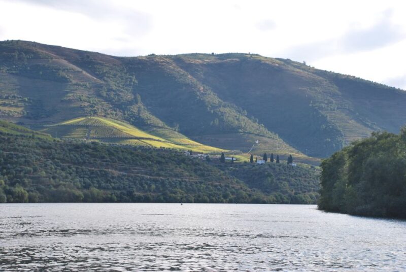 Pinhão: 2-Hour Rabelo Boat Tour with Audio Guide - Using the Audio Guide to Explore the Douro Landscape
