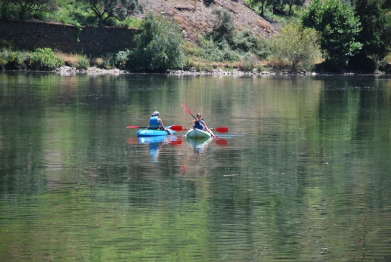 Pinhão: 4 Hour Douro Valley Kayak Rental - Scenic Paddling Through the Douro Valleys Vineyards