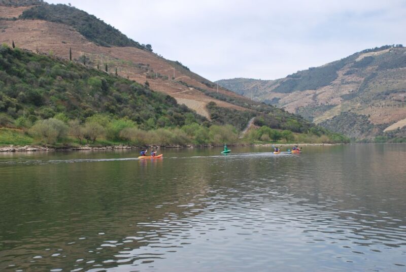 Pinhão: 4 Hour Douro Valley Kayak Rental - Practical Tips for Your Douro Kayaking Trip