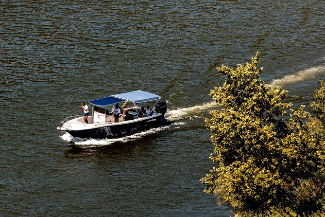 Pinhão: 4 hours Douro River Cruise with Lunch Included - Authentic Douro Lunch at a Traditional Restaurant