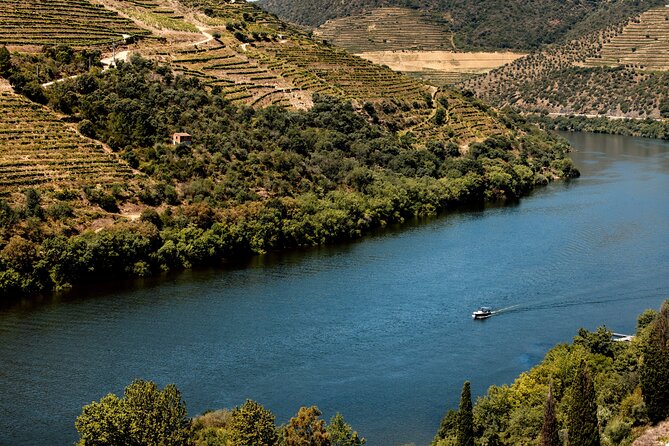Pinhão: 4 hours Douro River Cruise with Lunch Included - Practical Details and Accessibility