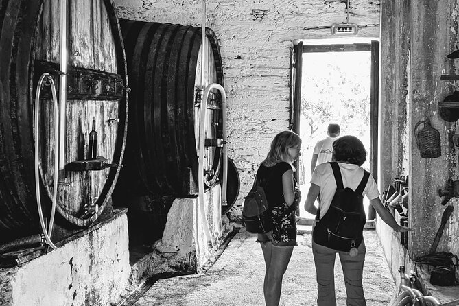 Pinhão Boat, lunch&wine tour - Traditional Portuguese Lunch at a Family-Owned House