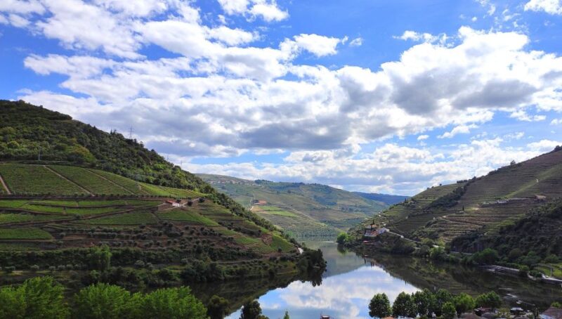 Pinhão: Douro River 50-min Boat Trip with Port Wine - Accessibility and Physical Requirements
