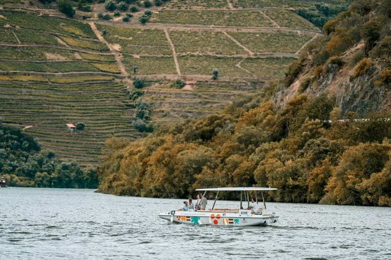 Pinhão: Douro River Solar Boat Tour with Wine Tasting - Logistics: Booking, Group Size, and What You Need to Know