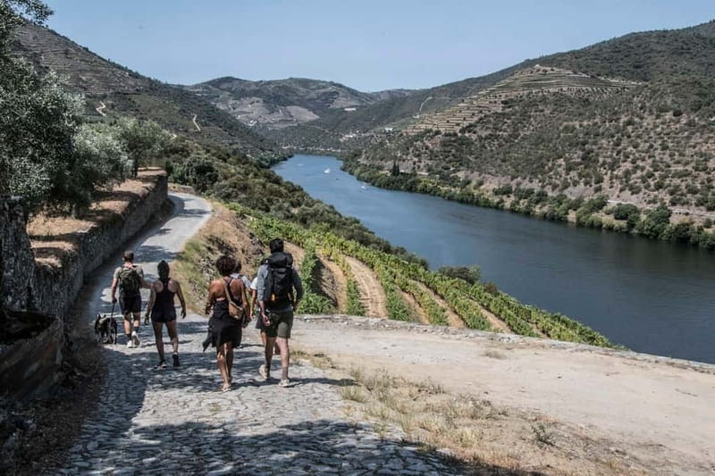 Pinhão: Douro Valley Guided Hike - Key Points