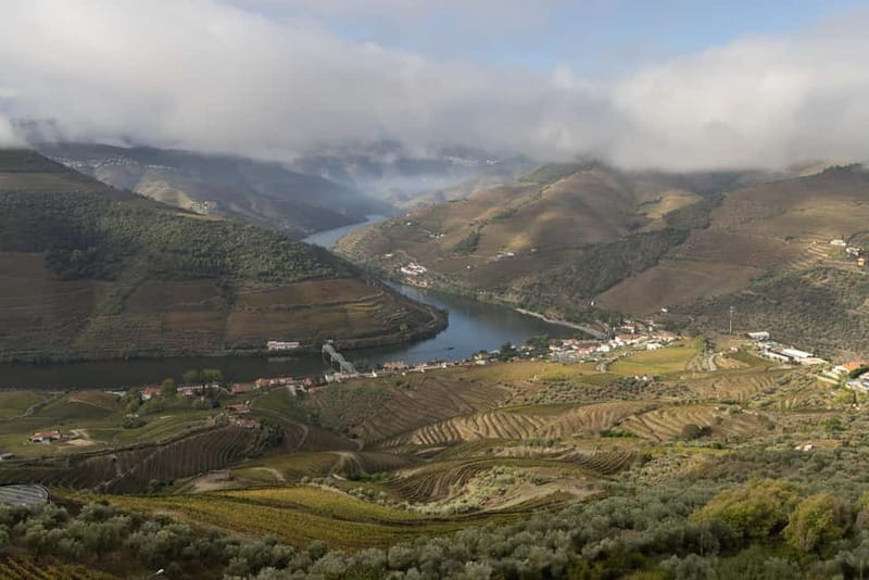 Pinhão: Douro Valley Guided Hike - Hiking Through the Hills of Pinhão and the Douro Valley