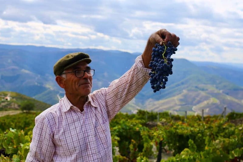 Pinhão: Douro Valley Guided Hike - Sustainability and Low-Impact Focus