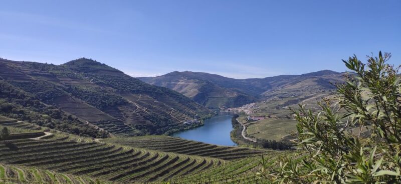 Pinhão: Douro Valley with Wine Tasting, Boat Trip and Lunch - Scenic Douro Valley and Its Best Photo Spots