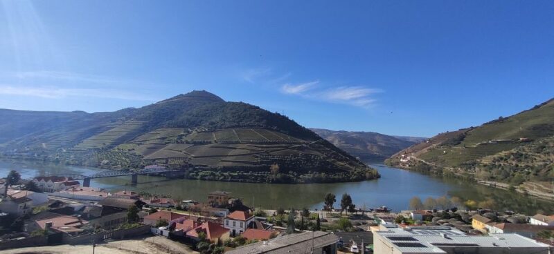 Pinhão: Douro Valley with Wine Tasting, Boat Trip and Lunch - Authentic Regional Lunch with a Glass of Port