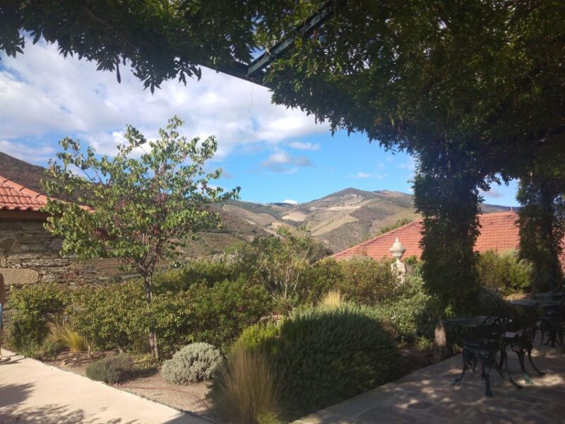 Pinhão: Douro Valley with Wine Tasting, Boat Trip and Lunch - Additional Scenic Viewpoints and Cultural Insights