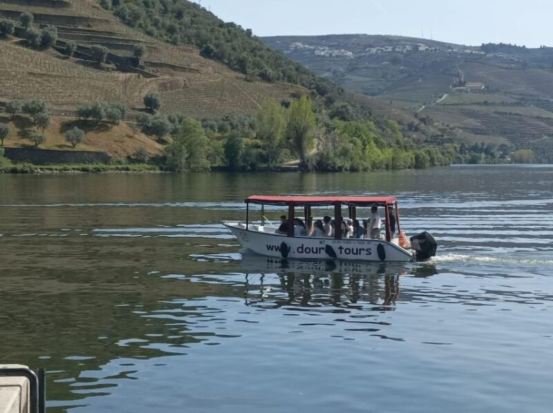 Pinhão: Douro Valley with Wine Tasting, Boat Trip and Lunch - Practical Details and Meeting Logistics
