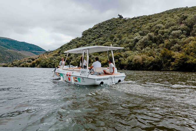 Pinhão: Electric Boat Experience 1h - Taste of Two Wines - The Scenic Douro River: Port, Vineyards, and Natural Beauty