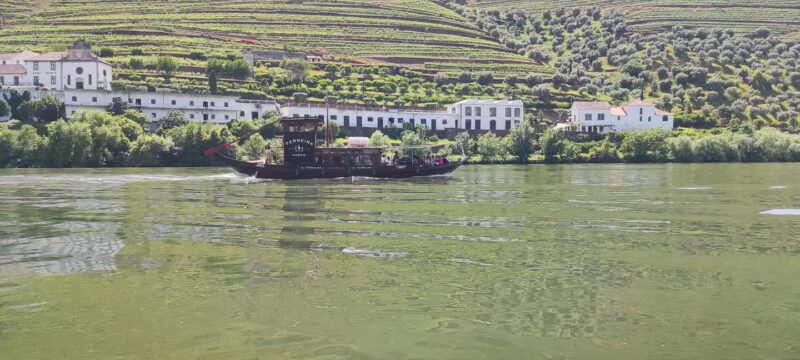 Pinhão Experience: Wine Tasting, Lunch, and Rabelo Boat - Guided Tour and Local Insights in Pinhão
