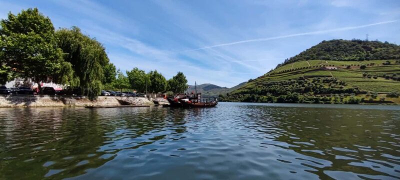 Pinhão Experience: Wine Tasting, Lunch, and Rabelo Boat - Who Will Appreciate This Experience
