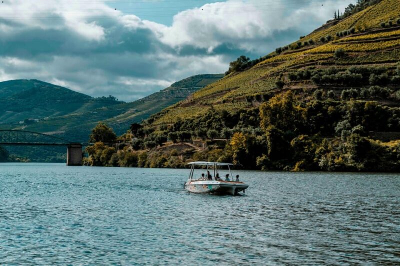 Pinhão: Private Electric Boat Tour 1h- Wine Tasting Included - Onboard Amenities to Enhance Your Experience