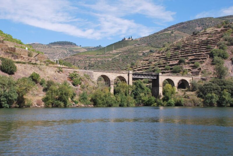 Pinhão: Private Rabelo Boat Tour along the River Douro - Scenic Views of Portugal’s Oldest Wine Region