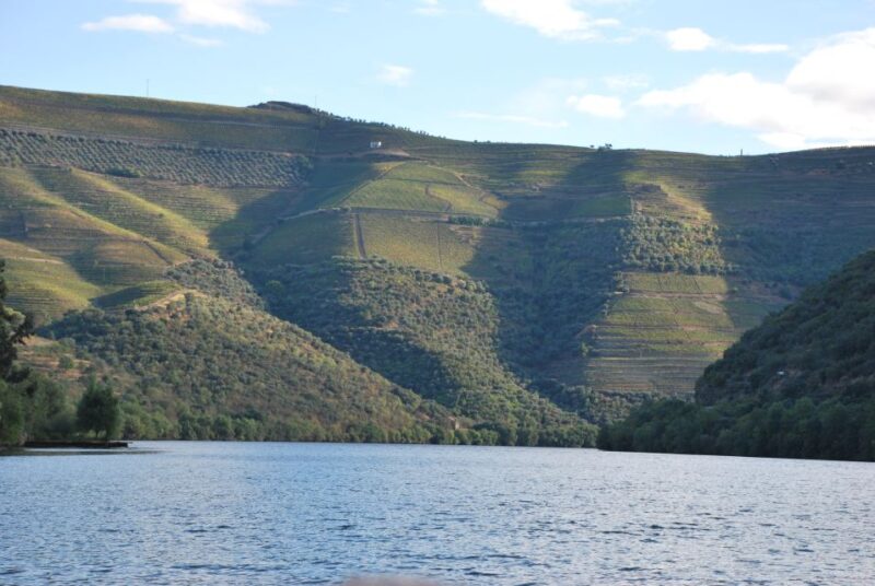Pinhão: Private Rabelo Boat Tour along the River Douro - The Experience of a Traditional Rabelo Boat
