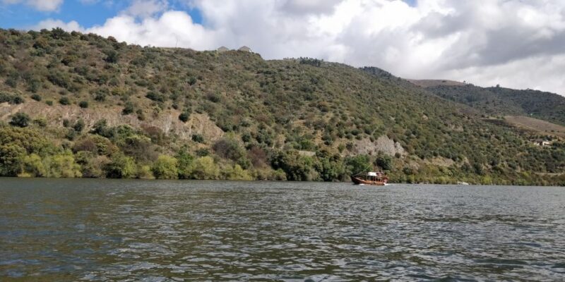 Pinhão: Private Rabelo Boat Tour along the River Douro - Guided Commentary and Audio Guide Options