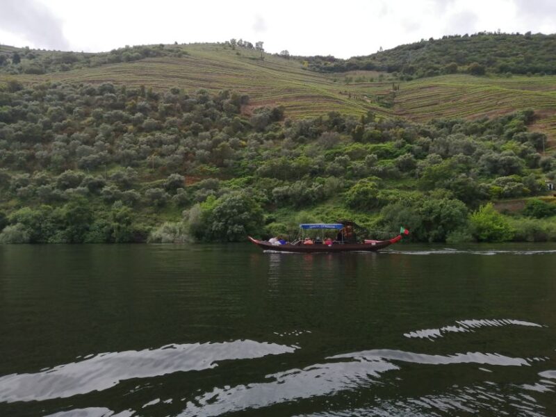 Pinhão: Private Rabelo Boat Tour along the River Douro - Accessibility and Weather Considerations