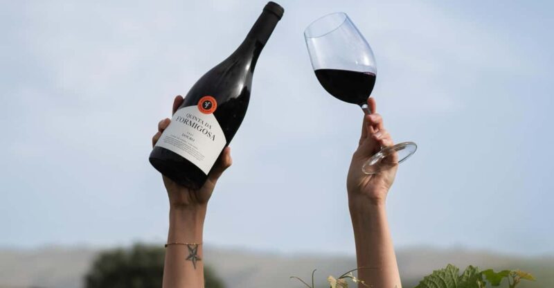 Pinhão: Quinta da Formigosa Vineyard Tour and Wine Tasting - Discover the Charm of Quinta da Formigosa in the Douro Valley