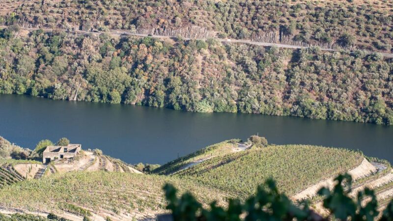 Pinhão: Quinta da Formigosa Vineyard Tour and Wine Tasting - Scenic Views and Photo Opportunities