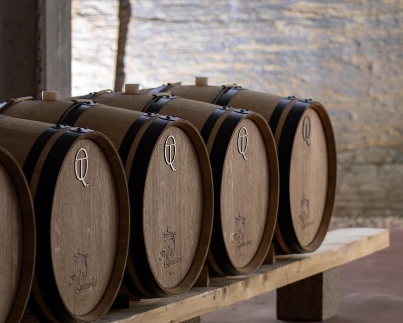 Pinhão: Quinta da Formigosa Vineyard Tour and Wine Tasting - Tasting Three Wines in a Serene Setting