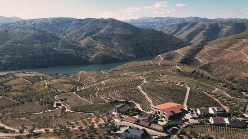 Pinhão: Quinta da Formigosa Vineyard Tour and Wine Tasting - Guides Who Make the Difference