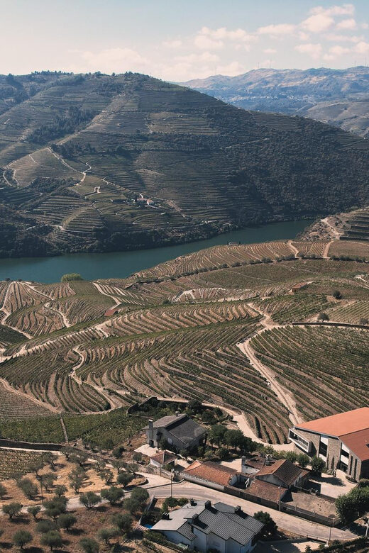 Pinhão: Quinta da Formigosa Vineyard Tour and Wine Tasting - Value and Booking Flexibility