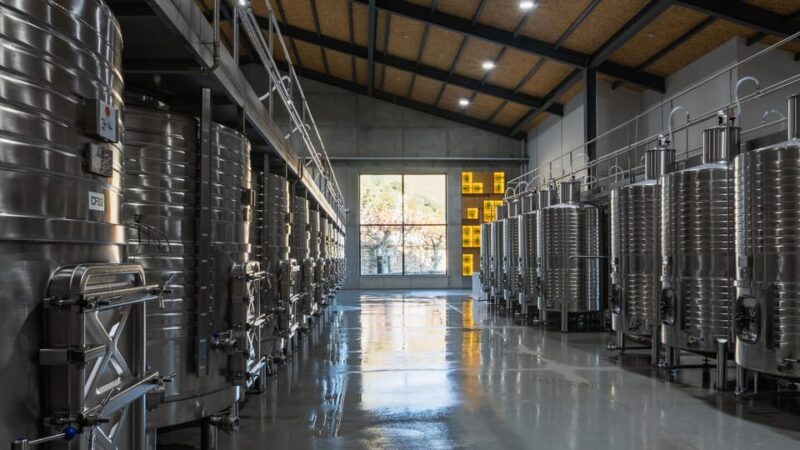 Pinhão: Quinta da Formigosa Vineyard Tour and Wine Tasting - Why This Tour Stands Out