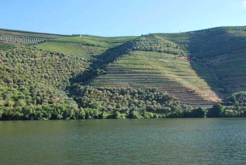 Pinhão: Rabelo Boat 1-Hour Tour - The Perfect Short Break for Wine and River Enthusiasts