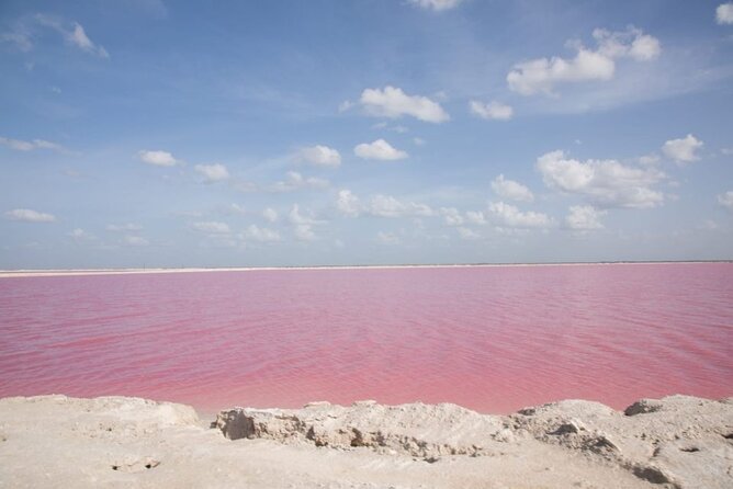 Pink Lake Lagoon and Rio Lagartos Tour from Playa del Carmen - Key Points
