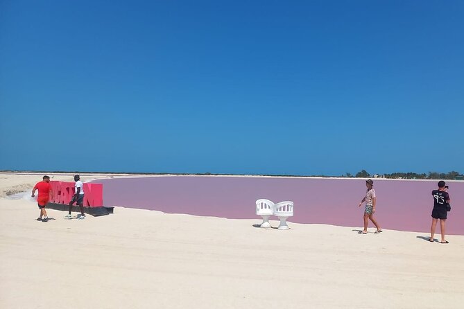 Pink Lake Lagoon and Rio Lagartos Tour from Playa del Carmen - The Pink Lagoons of Las Coloradas: A Natural Marvel