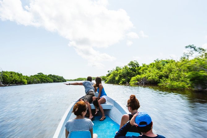 Pink Lake Tour from Las Coloradas with lunch and boat ride - Transportation and Logistical Details