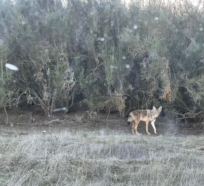 Pinnacles National Park Guided Hike. Your Choice of Trails - Important Equipment and Supplies for the Hike