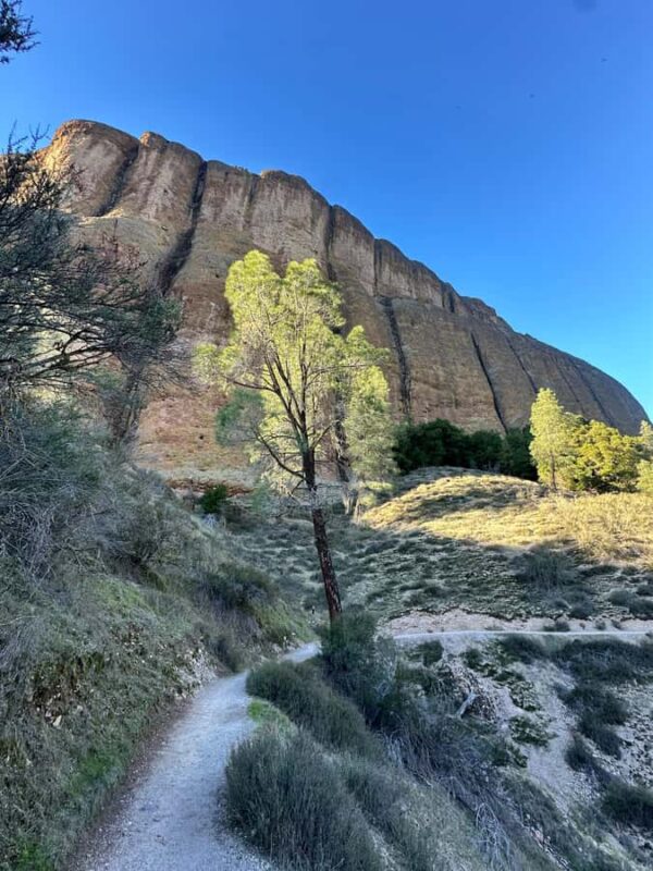Pinnacles National Park Guided Hike. Your Choice of Trails - Safety Tips and Restrictions
