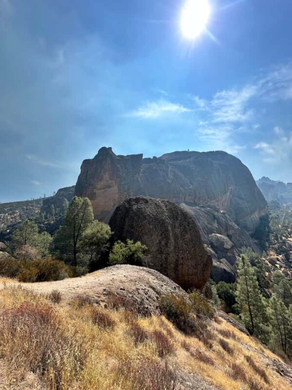 Pinnacles National Park Guided Hike. Your Choice of Trails - The Sum Up: A Flexible and Engaging Pinnacles Experience