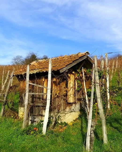 Pinot Noir & Pinot Wine Tour to Baden-Württemberg - The Tour Starts with Convenient Pickup from Basel or Colmar