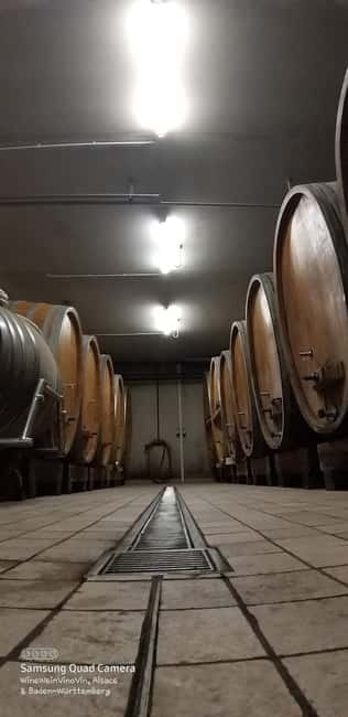 Pinot Noir & Pinot Wine Tour to Baden-Württemberg - Visiting Small Independent Winemakers: An Intimate Look into Craftsmanship