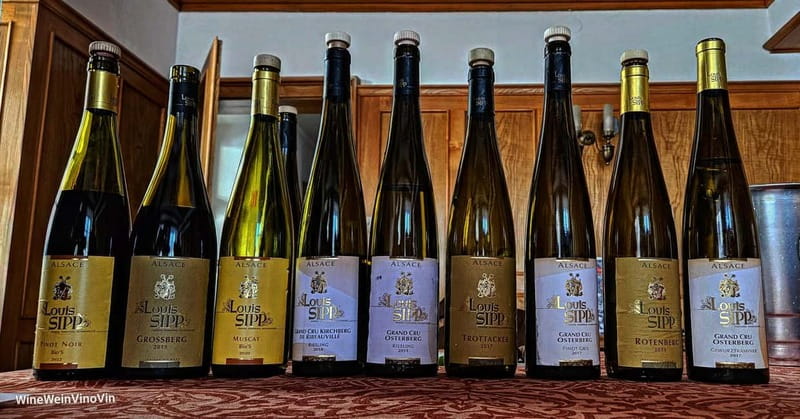 Pinot Noir & Pinot Wine Tour to Baden-Württemberg - Who Should Consider This Pinot Noir & Wine Tour